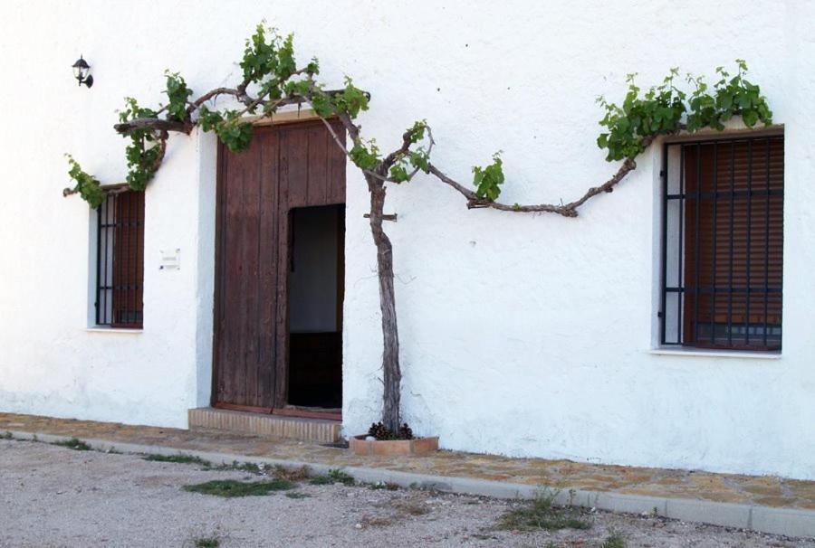 Casa Rural Casa Maxima Yecla Værelse billede